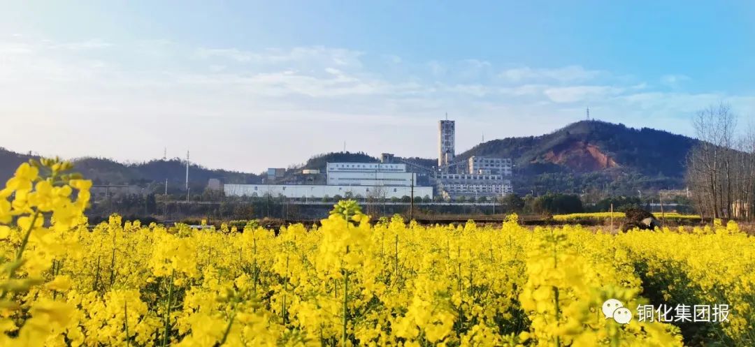 XPJ·娱乐(中国区)官方网站